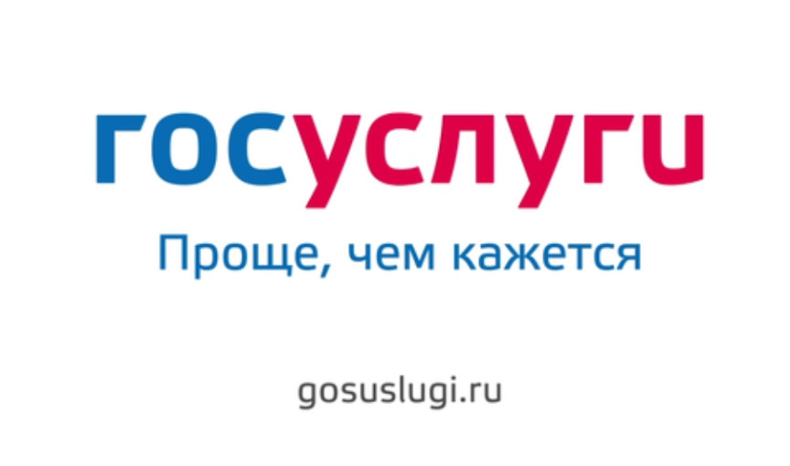 Мастер-класс для родителей "Госуслуги для родителей-это удобно!" Мастер-класс для родителей "Госуслуги для родителей-это удобно!".